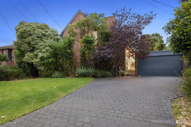 Main view of Homely house listing, 24 Larch Street, Langwarrin VIC 3910