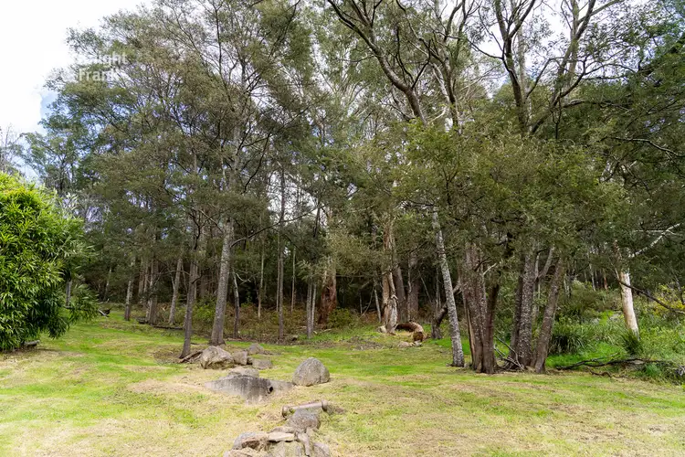 Seventh view of Homely house listing, 70 Main Street, Derby TAS 7264