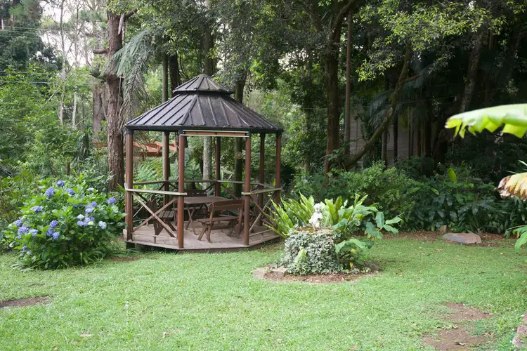 Third view of Homely house listing, 2214 Springbrook Road, Springbrook QLD 4213