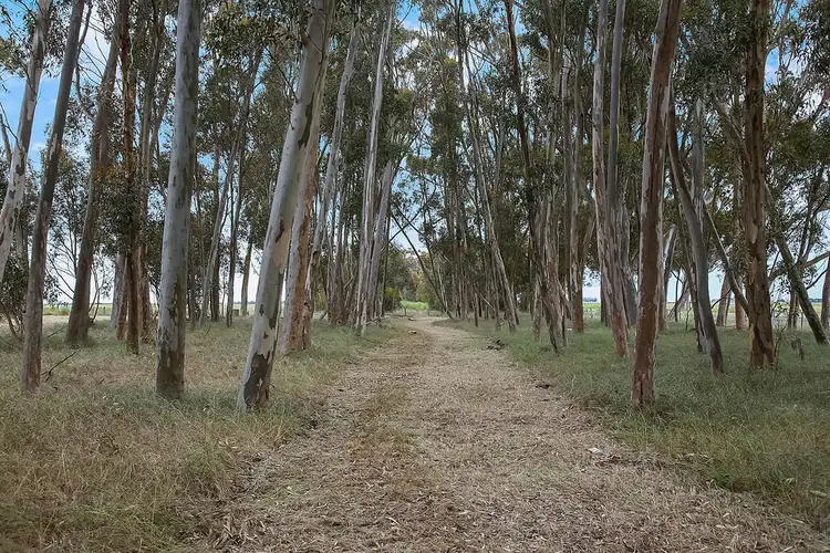 Fourth view of Homely rural property listing, LOT 2 Berrybank - Wallinduc Road, Wallinduc VIC 3351