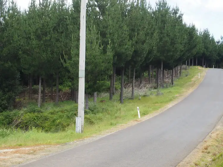 Second view of Homely rural property listing, 2184 Preolenna Road, Preolenna TAS 7325