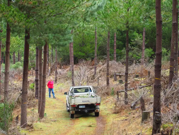 Fourth view of Homely rural property listing, 2184 Preolenna Road, Preolenna TAS 7325