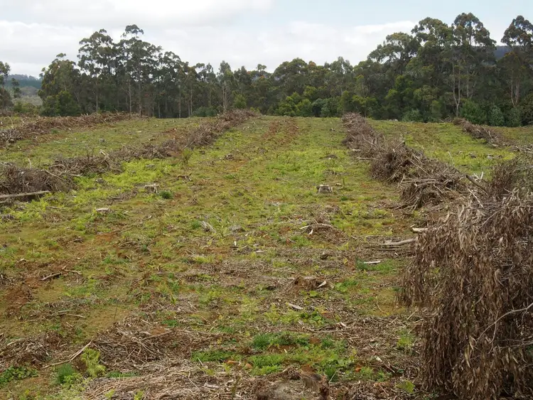 Seventh view of Homely rural property listing, 2184 Preolenna Road, Preolenna TAS 7325