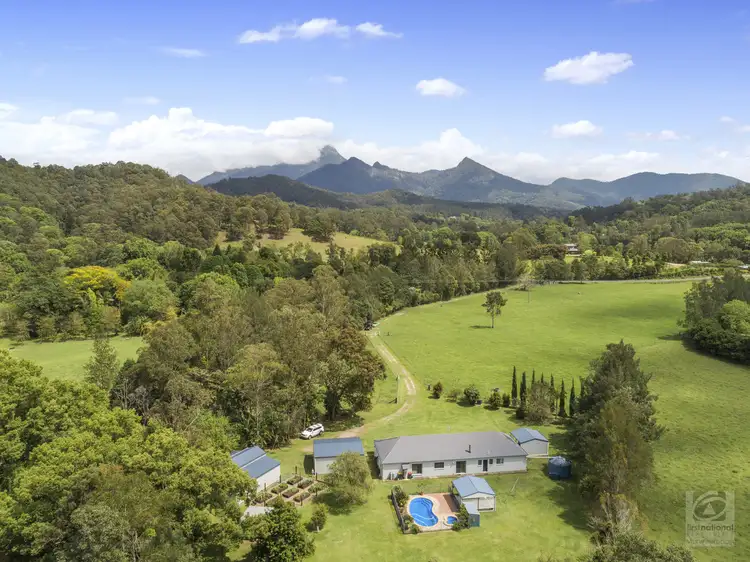 365 Rowlands creek Road, Rowlands Creek NSW 2484