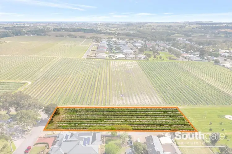 LOT 202 Scarpantoni Drive, Mclaren Flat SA 5171