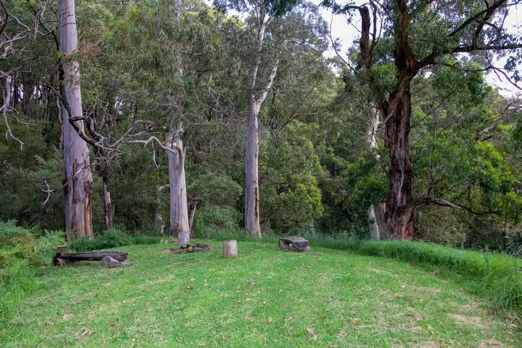 Third view of Homely rural property listing, Red Johanna Road, Johanna VIC 3238