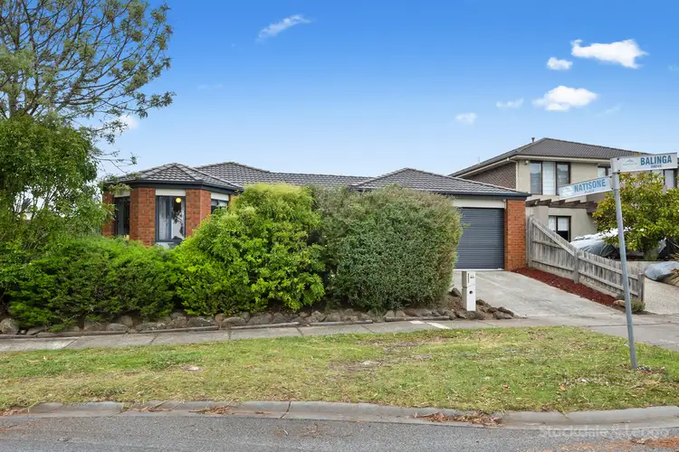 Main view of Homely house listing, 44 Balinga Drive, Skye VIC 3977