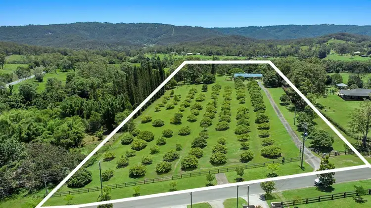 Main view of Homely house listing, 21 Darwalla Road, Mount Nathan QLD 4211