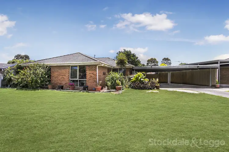 17 Strafford Avenue, Cranbourne VIC 3977