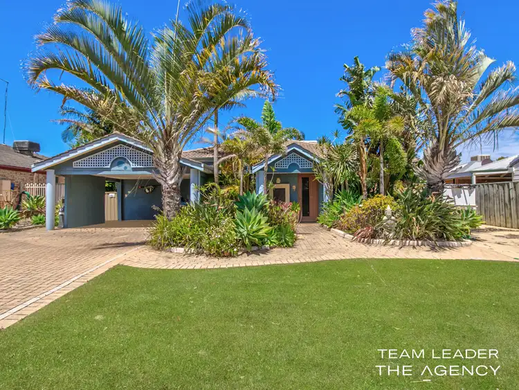 Main view of Homely house listing, 3 Castilloa Court, Halls Head WA 6210