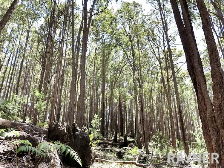 Sixth view of Homely land listing, 1 Oro Road, Dwellingup WA 6213