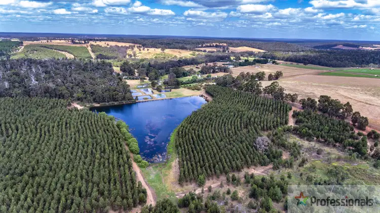 Main view of Homely rural property listing, 412 Perup Road, Manjimup WA 6258