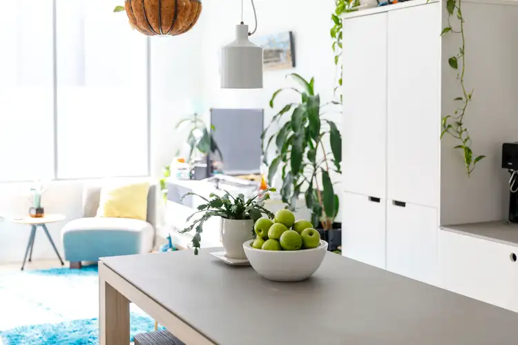 Sixth view of Homely apartment listing, C321/810 Elizabeth Street, Waterloo NSW 2017