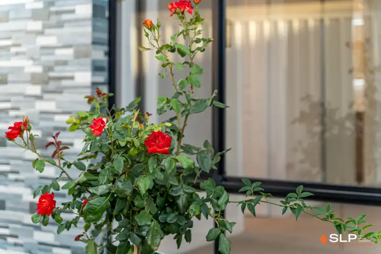 Third view of Homely villa listing, 10C Tangmere Way, Balga WA 6061