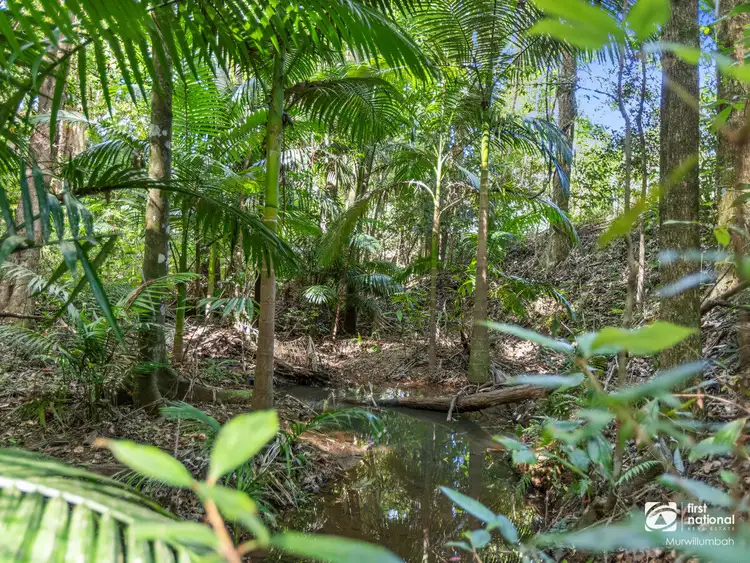 Sixth view of Homely house listing, 137 Howards Road, Burringbar NSW 2483