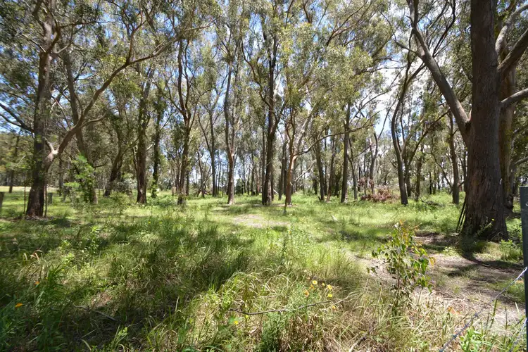 Sixth view of Homely land listing, LOT 8 Central Road, Sugarloaf QLD 4380