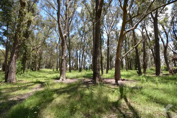 Seventh view of Homely land listing, LOT 8 Central Road, Sugarloaf QLD 4380