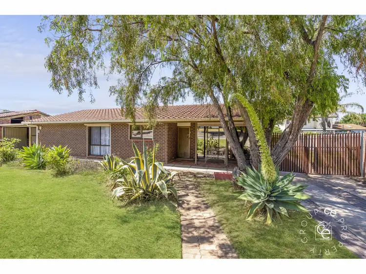 445 Wright Road, Valley View SA 5093