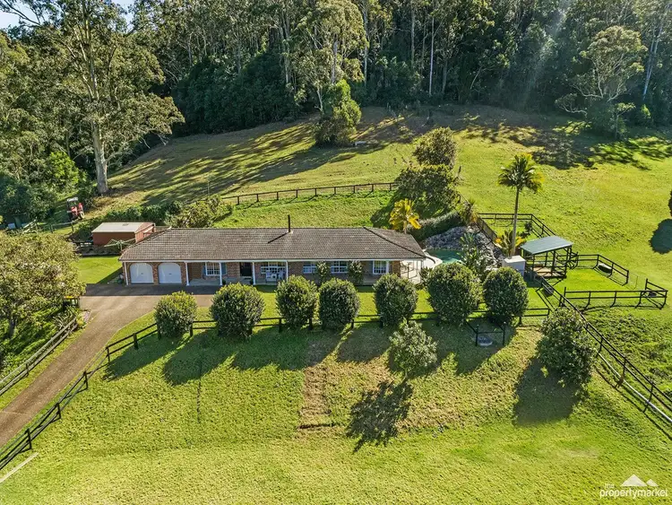 Main view of Homely house listing, 197 Palmdale Road, Palmdale NSW 2258
