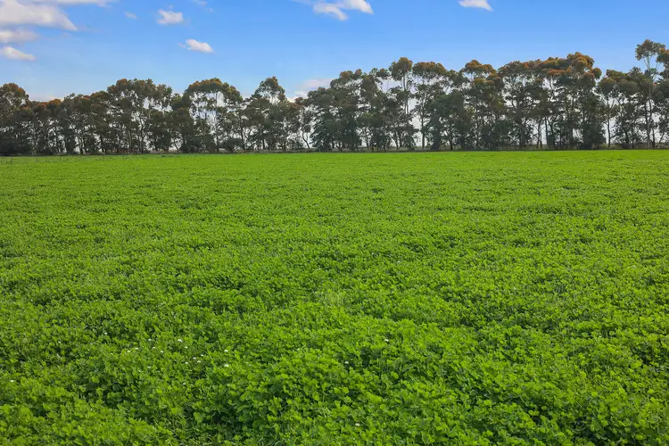 Third view of Homely rural property listing, 890 Meredith Shelford Road, Bamganie VIC 3333