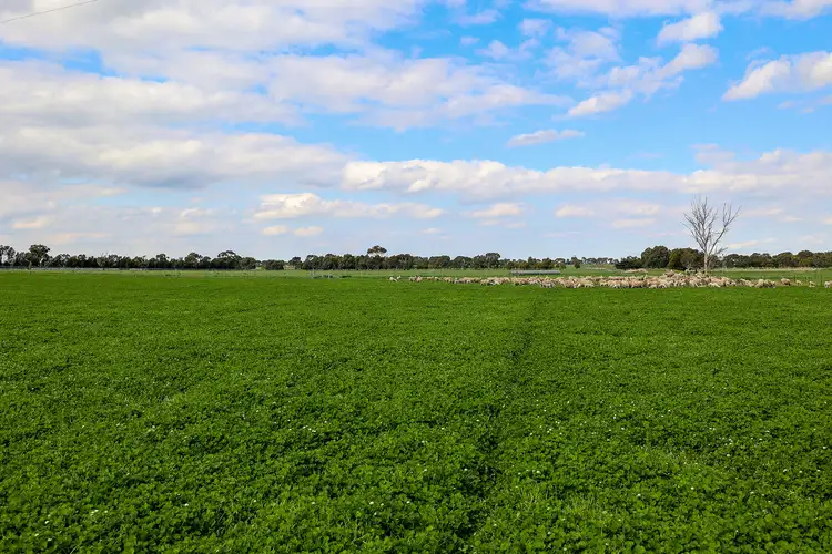Fifth view of Homely rural property listing, 890 Meredith Shelford Road, Bamganie VIC 3333