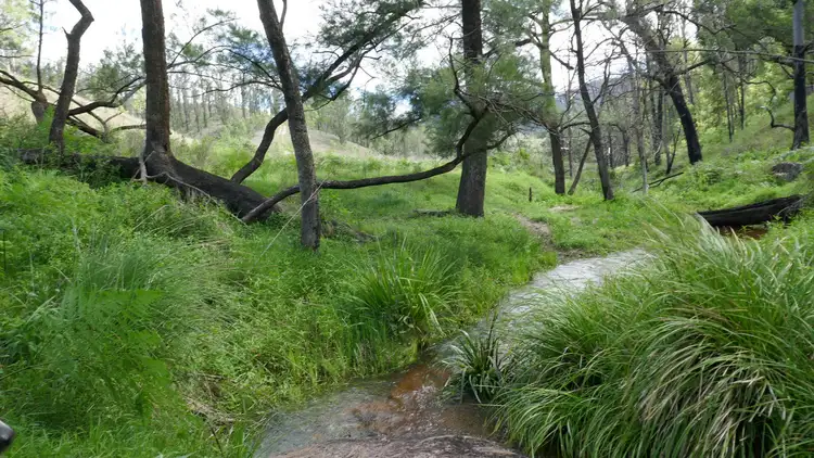Sixth view of Homely rural property listing, Lot 24,25,31 Leder Way, Rocky River NSW 2372