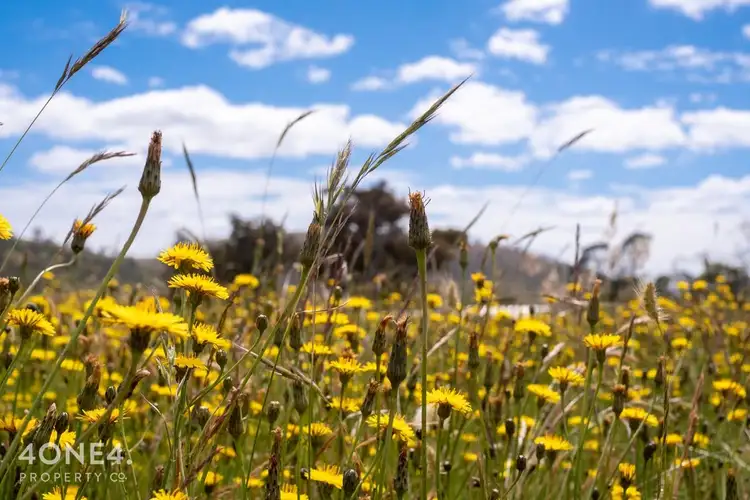 Third view of Homely rural property listing, 1254 Gordon River Road, Westerway TAS 7140