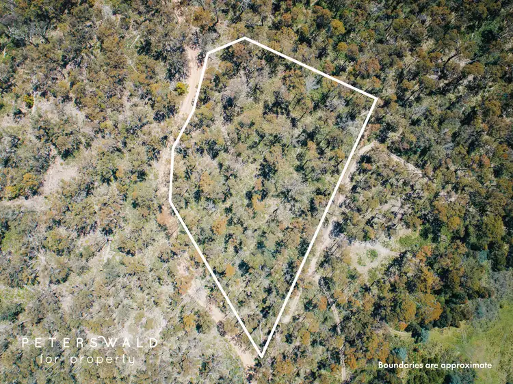 Main view of Homely land listing, LOT 115692/3 Basils Road, Pelham TAS 7030