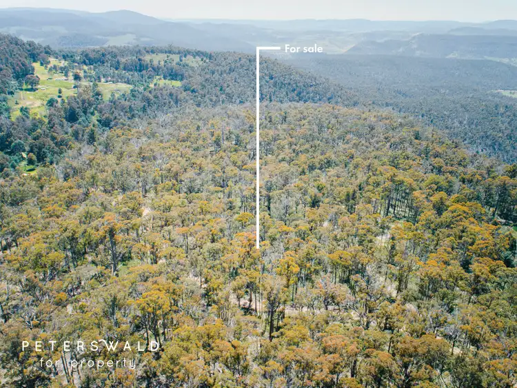 Second view of Homely land listing, LOT 115692/3 Basils Road, Pelham TAS 7030