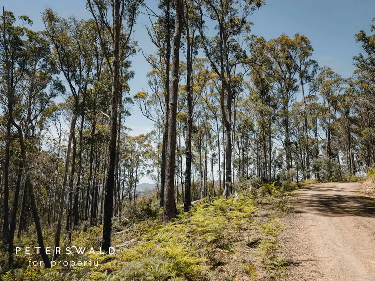 Third view of Homely land listing, LOT 115692/3 Basils Road, Pelham TAS 7030