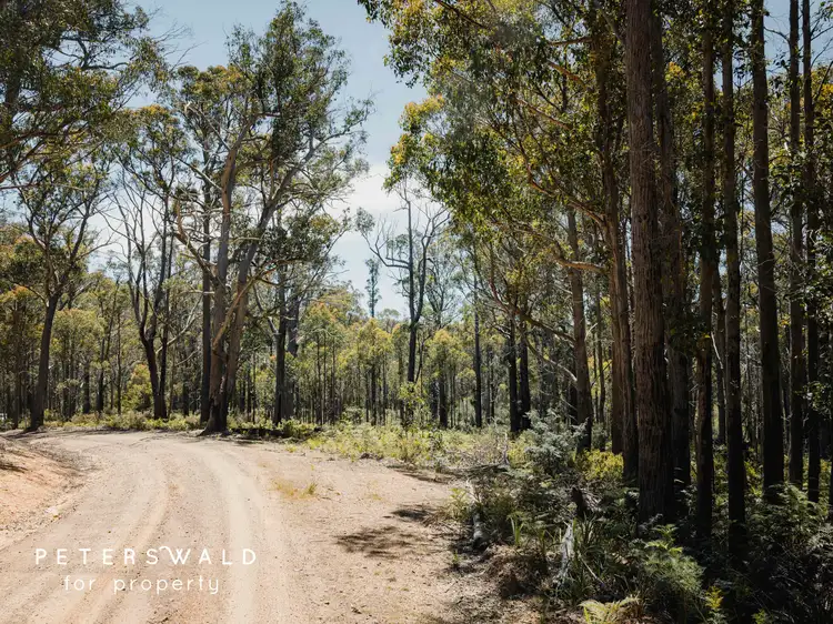 Fifth view of Homely land listing, LOT 115692/3 Basils Road, Pelham TAS 7030