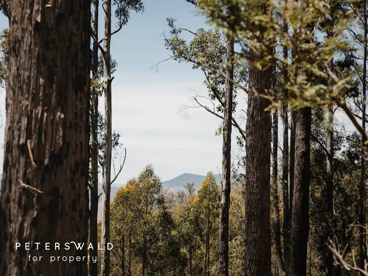 Sixth view of Homely land listing, LOT 115692/3 Basils Road, Pelham TAS 7030