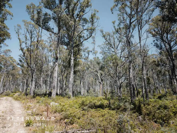 Seventh view of Homely land listing, LOT 115692/3 Basils Road, Pelham TAS 7030