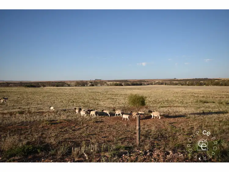 Main view of Homely rural property listing, Address available on request