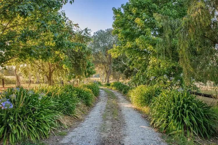Fifth view of Homely house listing, 29 Smith Lane, Yackandandah VIC 3749