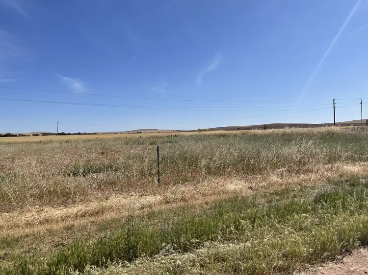 Fourth view of Homely land listing, 61 and 62 North Street, Gladstone SA 5473