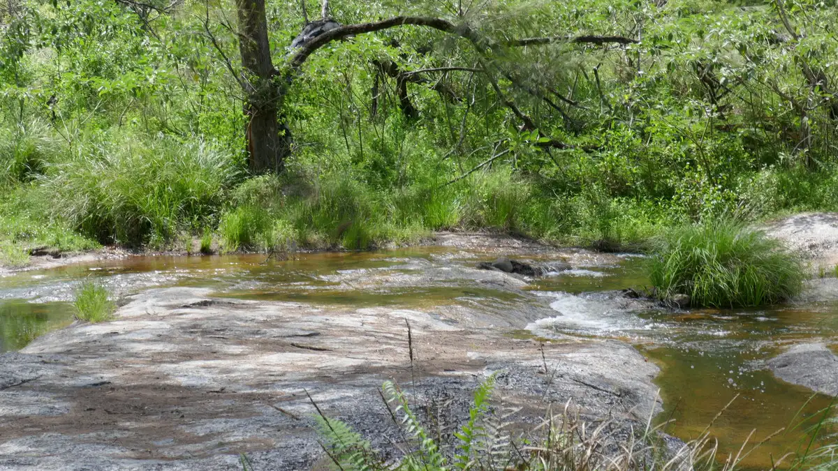 Main view of Homely rural property listing, 3501c Leder Way, Rocky River NSW 2372