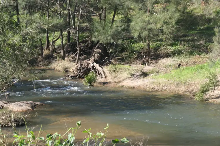 Seventh view of Homely rural property listing, 3501c Leder Way, Rocky River NSW 2372