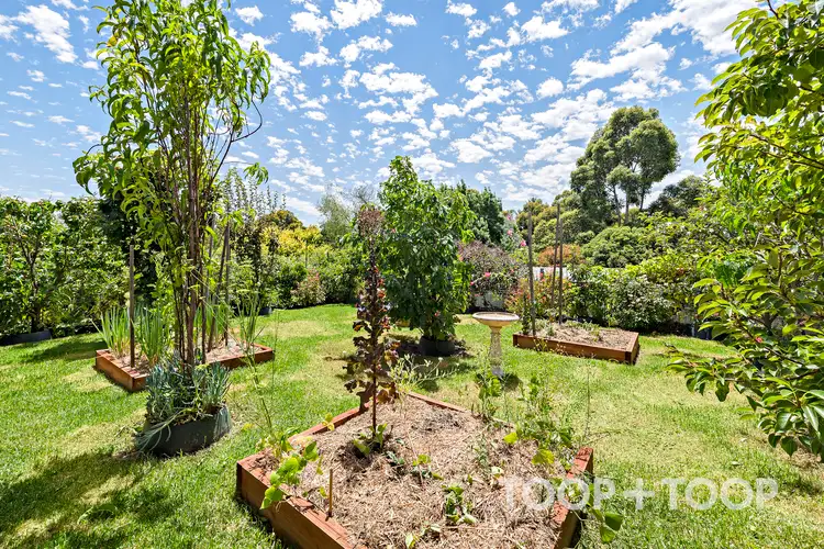Second view of Homely house listing, 164 Piccadilly Road, Piccadilly SA 5151