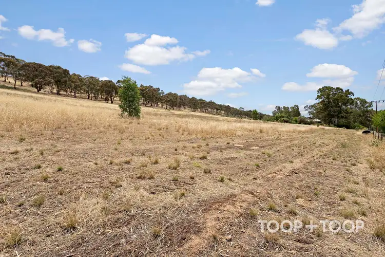 8573 Horrocks Highway, Clare SA 5453