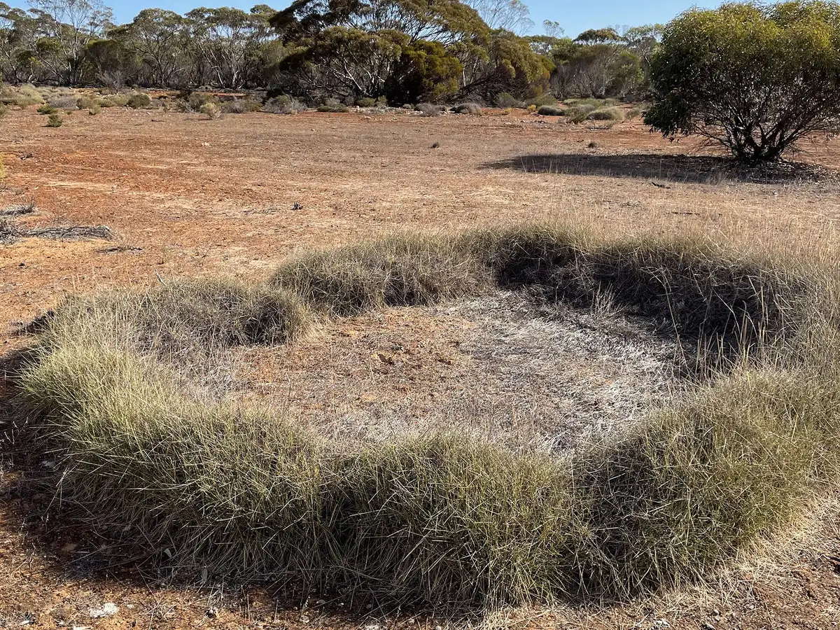 Main view of Homely land listing, Lots 708 and 710 Pygery/ Port Kenny Road, Mount Cooper SA 5671