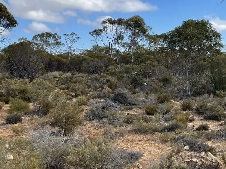 Third view of Homely land listing, Lots 708 and 710 Pygery/ Port Kenny Road, Mount Cooper SA 5671