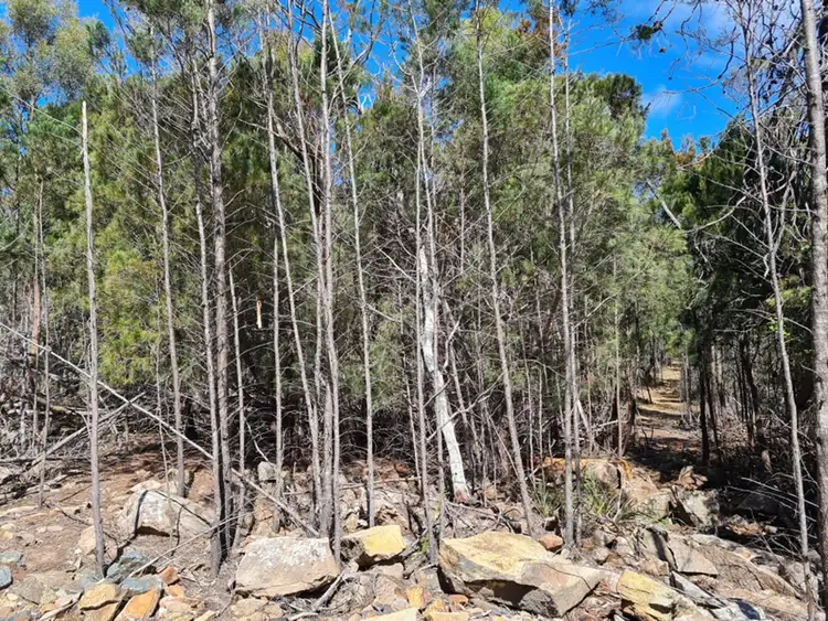 Fifth view of Homely land listing, LOT 2 Elizabeth Street, Pontypool TAS 7190