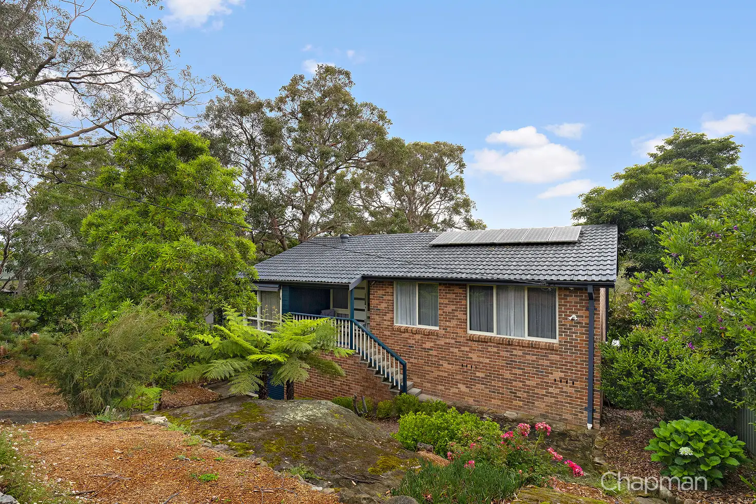 Main view of Homely house listing, 14 Muriel Street, Faulconbridge NSW 2776