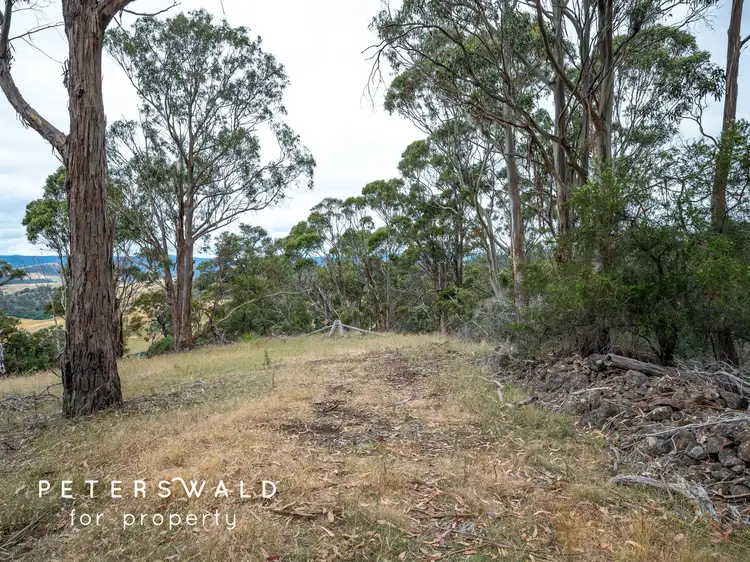 Seventh view of Homely land listing, 143 Springhill Bottom Road, Colebrook TAS 7027
