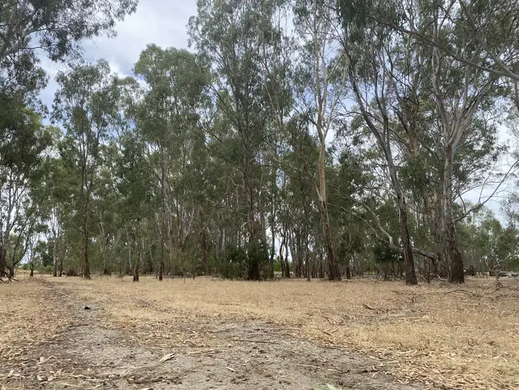 Sixth view of Homely rural property listing, LOT 9 North Barham Road, Barham NSW 2732