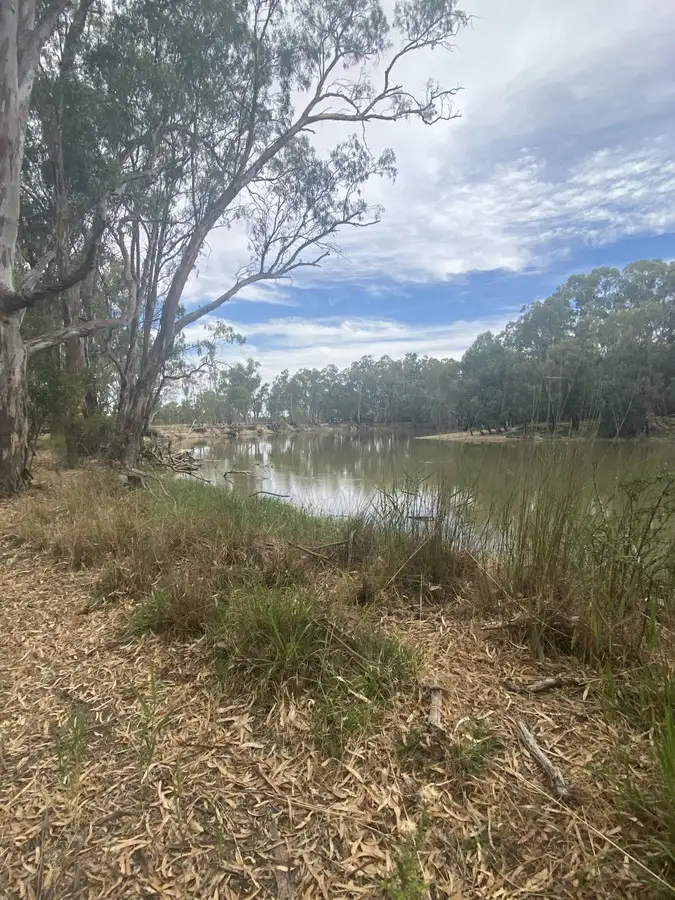 Seventh view of Homely rural property listing, LOT 9 North Barham Road, Barham NSW 2732