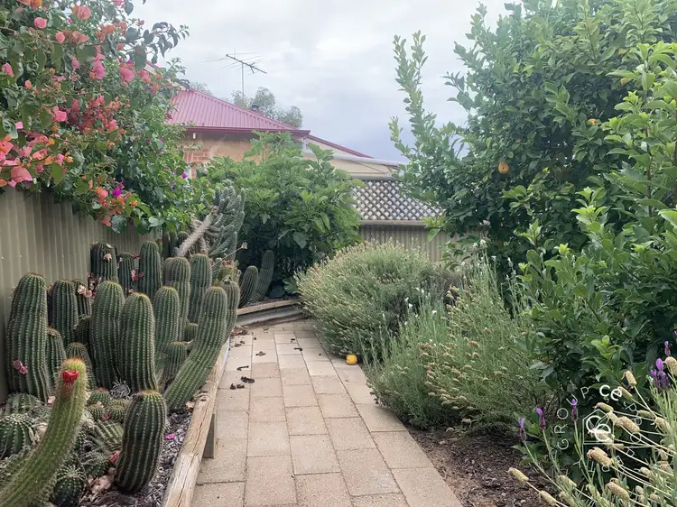 Third view of Homely house listing, 17 Rudolf Street, Mannum SA 5238