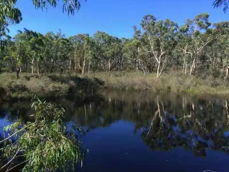 Fifth view of Homely rural property listing, 1682 Oallen Ford Road, Oallen NSW 2622