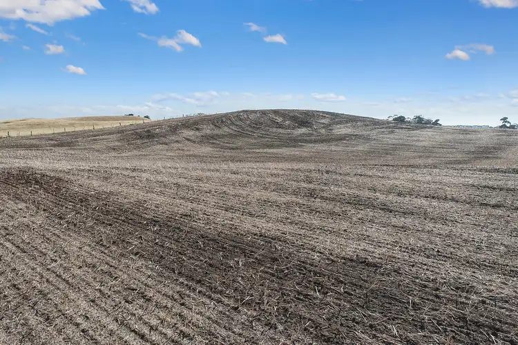 Second view of Homely rural property listing, 125 Pierces Road, Weering VIC 3251